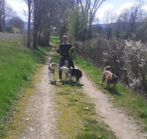 Éducatrice canin en balade sur un chemin de campagne avec trois chiens