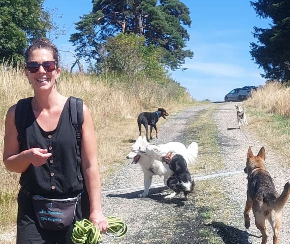 Éducatrice canin souriante entourée de cinq chiens en liberté